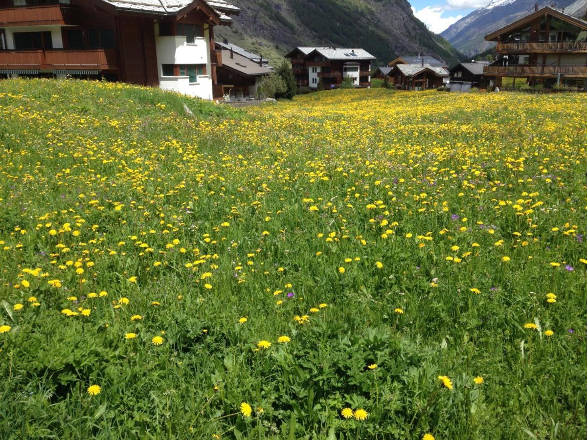Haus Marico Appartement Zermatt Buitenkant foto